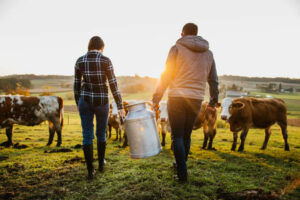 Farming safety is a key priority as it remains one of the most dangerous sectors to work within in Britain, with comparably high fatality rates