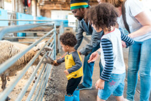 HSE issues warning about farm safety during open farm visits this summer